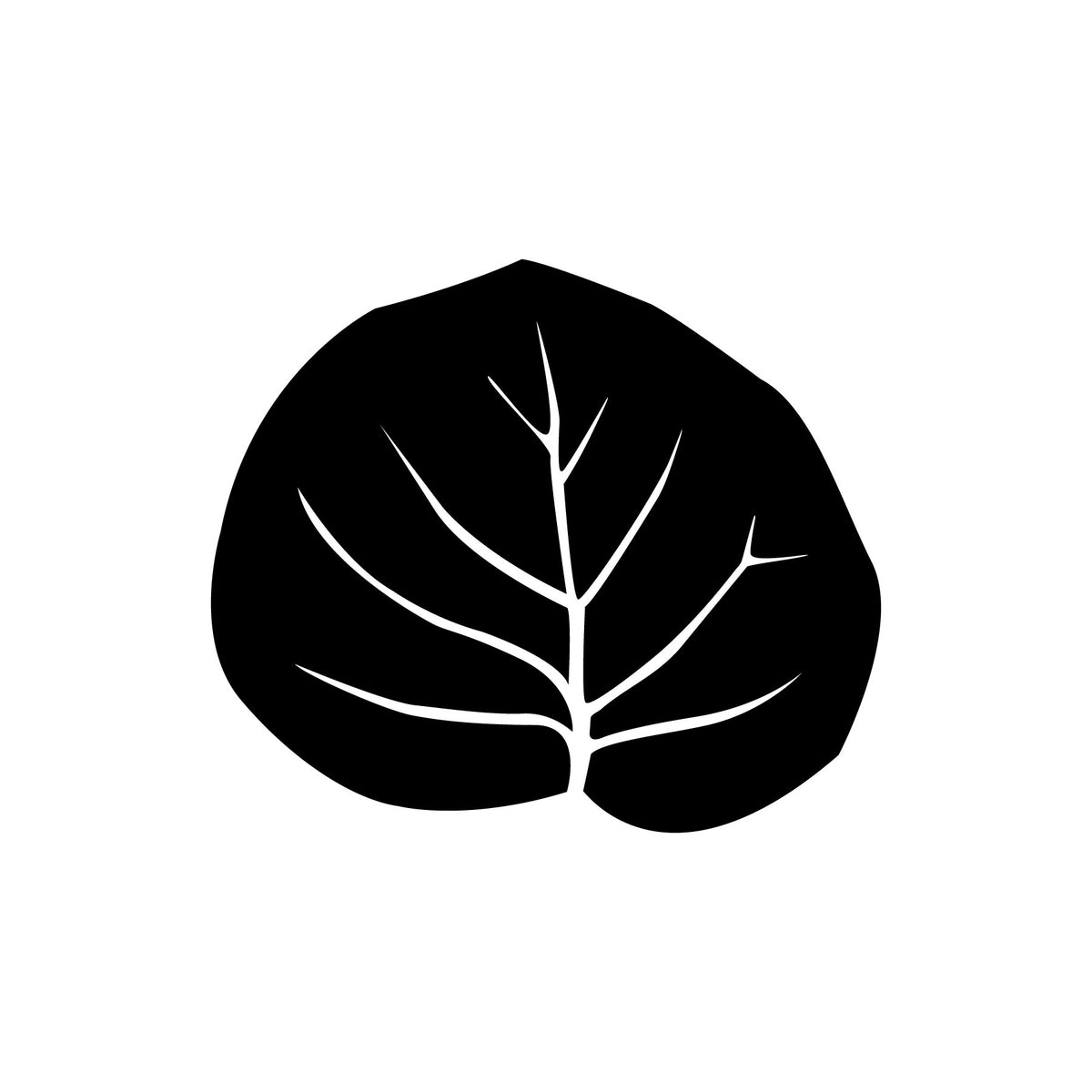 SHOP ALL Coccoloba Swimwear shop-all-coccoloba-swimwear