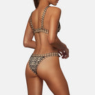 ZEBRA (1631982223460)